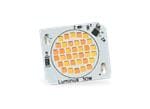 Luminus Devices Warm Dimming LED Spot Modules
