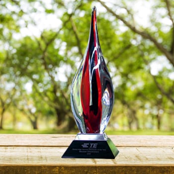 TE Connectivity Global High Service Distributor of the Year Award