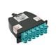 Panduit FC2XO-24-10U